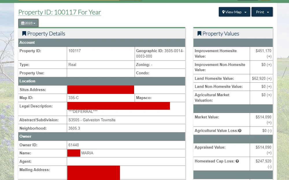 A screenshot of the search tool where members of the public can search for who owns properties in Galveston County.