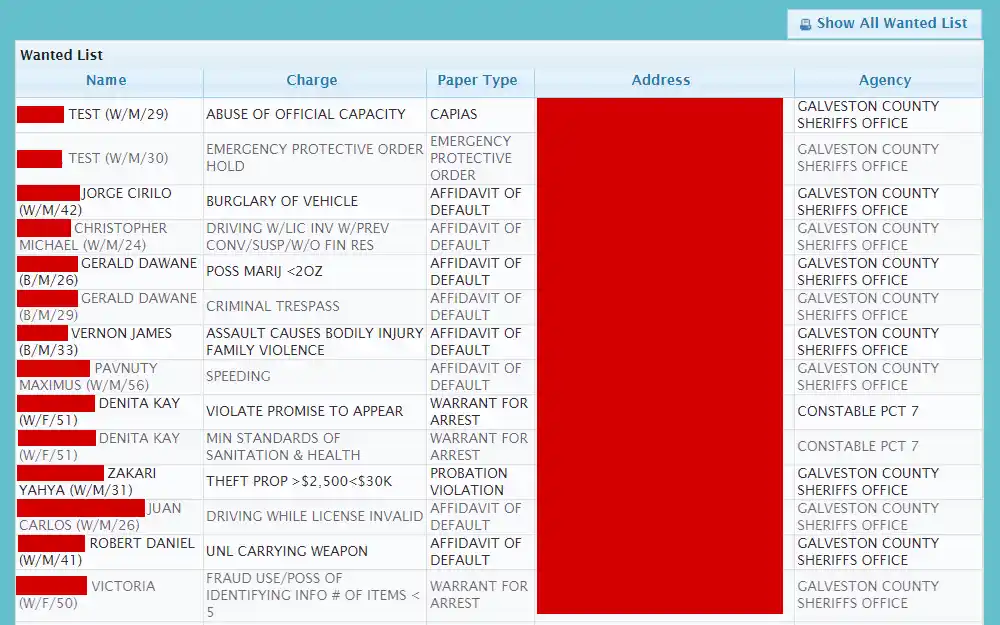 Screenshot of the online wanted list displaying the person's name, charge, paper type, address, and agency name.
